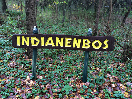 Indianenbos