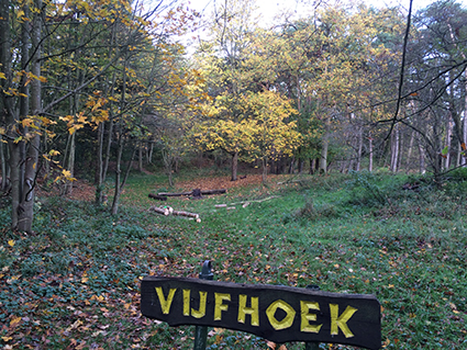 Vijfhoek